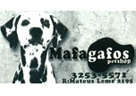 Logo MAFAGAFOS PET SHOP